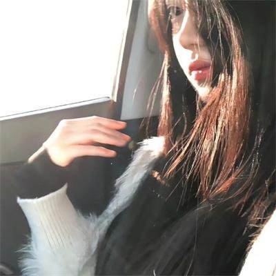 八犬传:东方八犬异闻